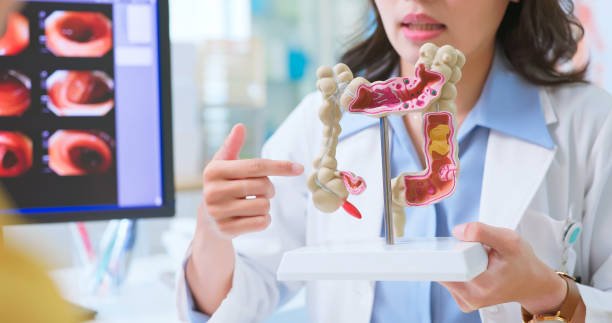 Gut Health and Digestive Disorders